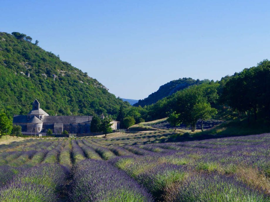Guide to Provence
