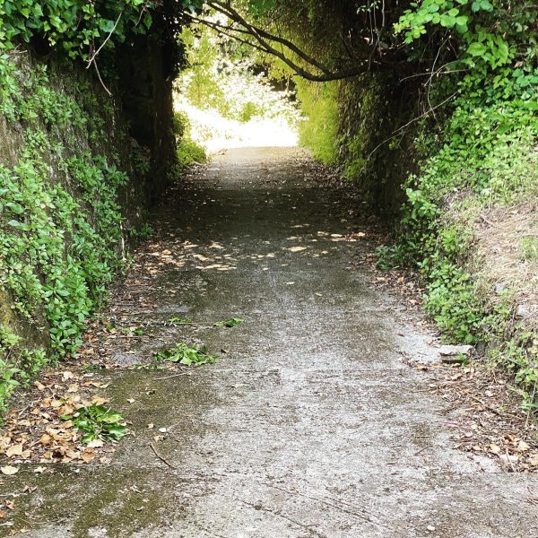 A path leads to the village