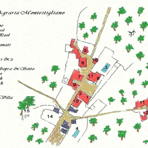 Plan of buildings in Montestigliano